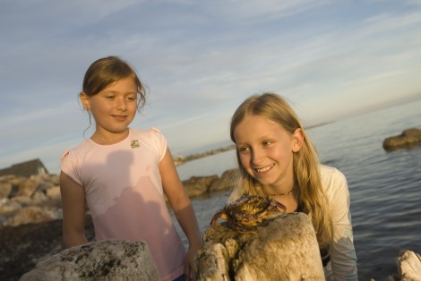 Little girls, by the sea, crab on a rock